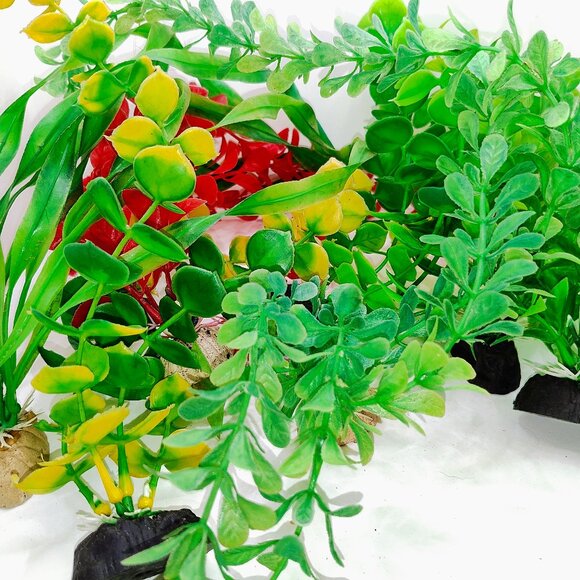 An bunch of used aqaurium plants - Picture 3 of 5